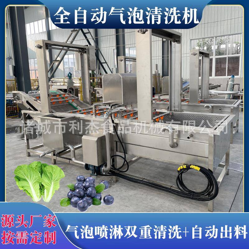 西蓝花生菜喷淋洗菜机净菜清洗加工设备中药材果蔬气泡清洗机