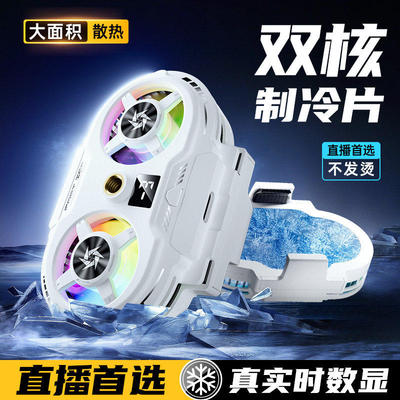 适用黑鲨手机双核散热器磁吸冰封半导体制冷降温神器苹果iPhone17散热背夹iPad平板直播电竞游戏三角洲王者