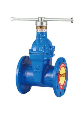 塘沽TVI加密法兰闸PN16国标高压闸法兰式球墨铸铁DN65闸