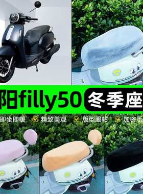 适用光阳filly50电瓶电动车冬座套坐垫套座位防雨防水防晒饰配件