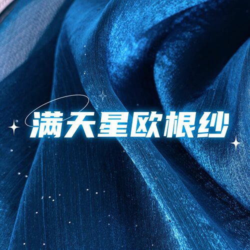 满天星欧根纱闪光面料拍照汉服