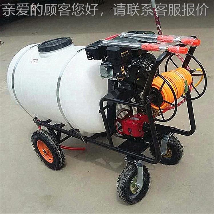 160升电动48V蓄打电池喷药机 带管操作便0方手推式农用果卷园药机