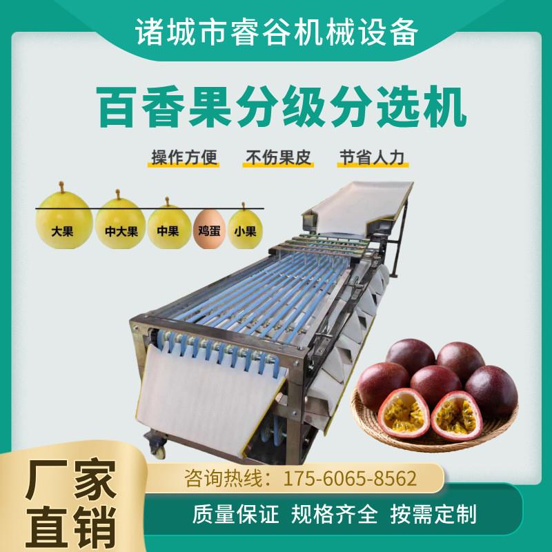 百香果皮带式多级分拣机 槟榔选果机 商用全自动分级分选机不伤果
