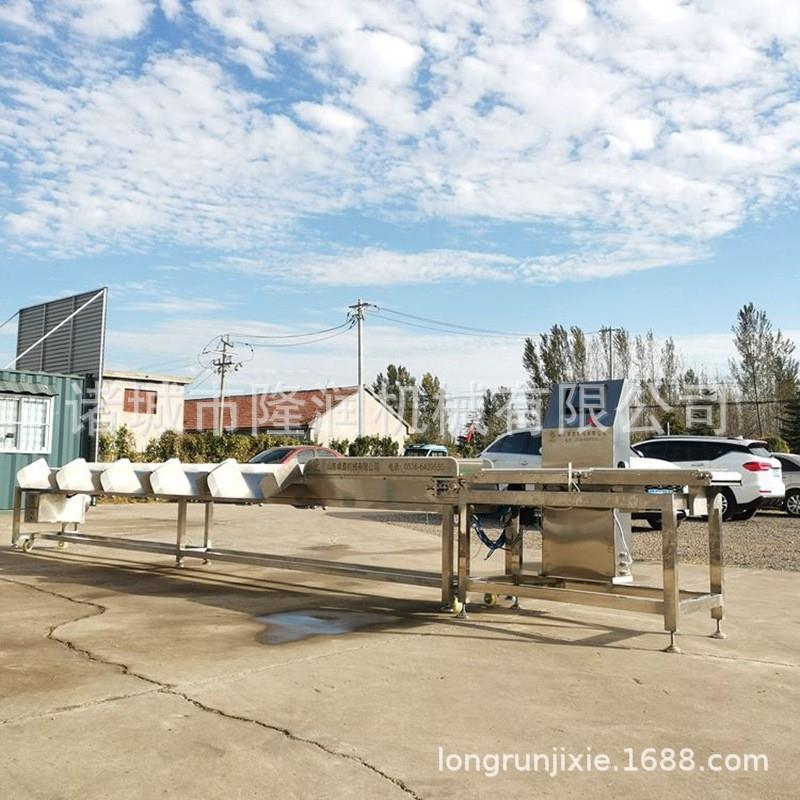 全自动皮带式活鱼重量分级机 带鱼鲅鱼检重秤 称重快速误差小