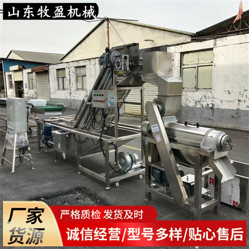 大型苹果清洗榨汁机 果蔬粉碎打浆机 蔬菜麦草圆葱螺旋破碎榨汁机