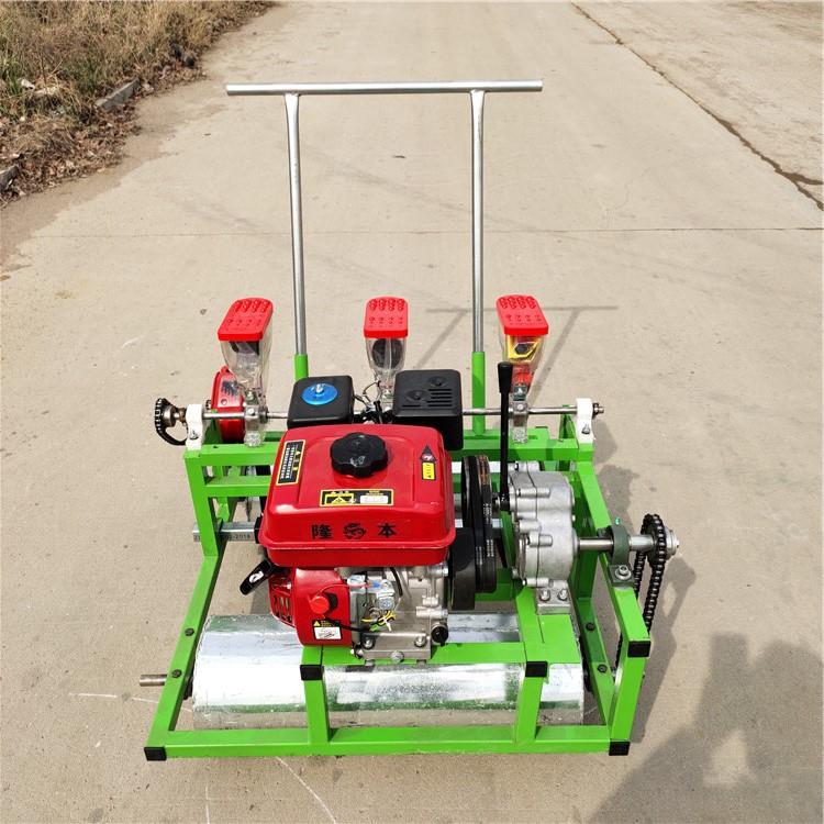 人力蔬菜播种机手推式小型菠菜香菜白菜精播机免间苗青菜播种机