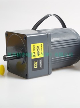 津晟邦电机 25W 220V交流齿轮调速电机/减速电机 4IK25RGNZ-C 马