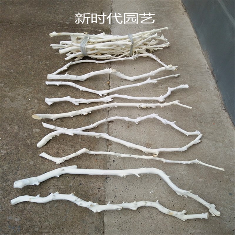 天然干树枝装饰树枝枯枝白树枝造型树枝橱窗道具树枝枯树枝干枝