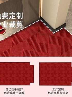 入户门地垫2024新款高级感红色进门垫子门口防滑耐脏免洗门外地毯
