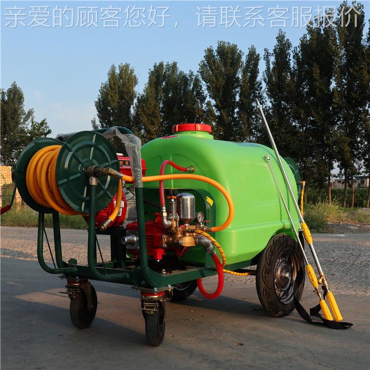 厂家现货雾手推压UGL喷器 园林养护杀喷虫打药机 300高L农用高压