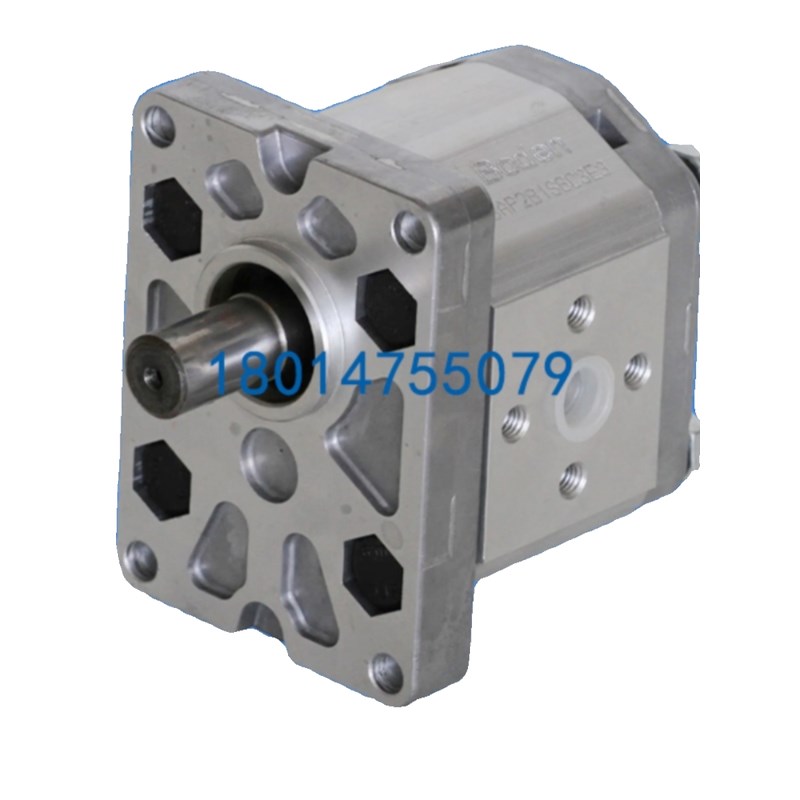 Boden齿轮泵BKP0.5B1D0.38G0L2 BKP0.5B1D0.75/0.50/1.70L2