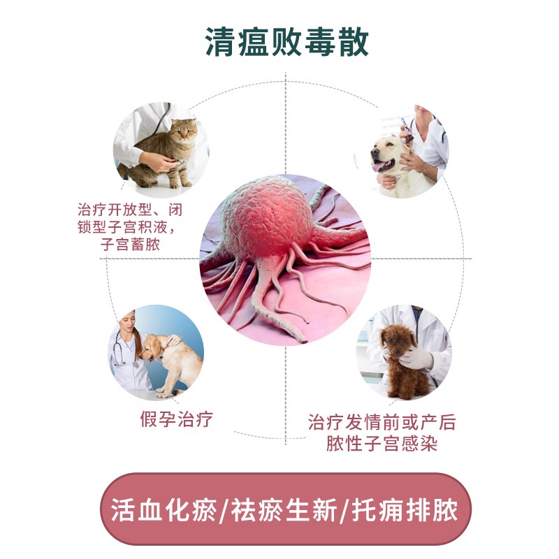 宫脓清宠物大梆猫用仓鼠狗狗猫咪狗用分装犬猫通用宫脓净宫脓康