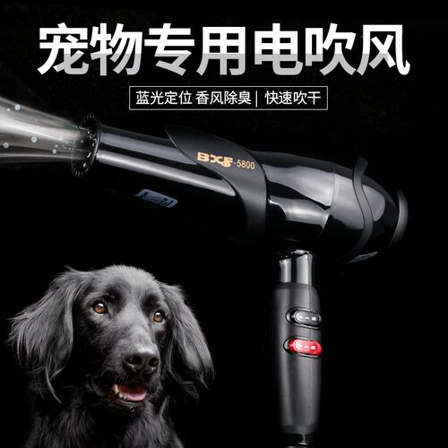 狗狗洗澡吹风机猫咪专用电吹风机速干风筒大功率狗狗洗澡烘干神器