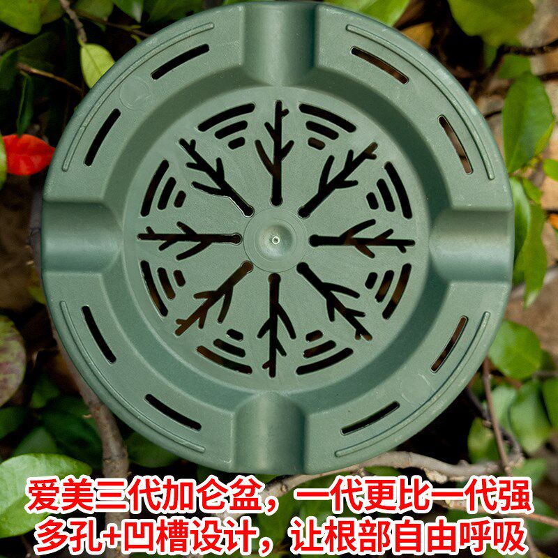 爱美新款三代控根加仑盆加厚月季草莓盆栽高矮款塑料花盆家用阳台