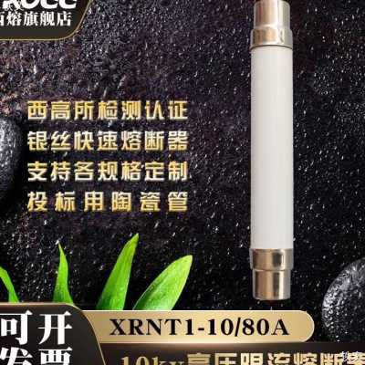 XRNT1-12kv/5-40A分断能力压限流式熔断器10-12KV可