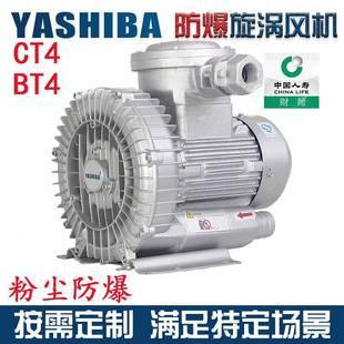 气泵粉尘防爆工业鼓风机 定制EXBT4防爆高压漩涡风机CT4涡轮旋涡式