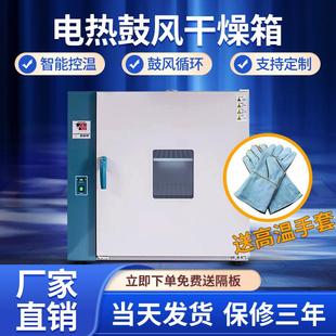 实验室恒温鼓风干燥箱工业电热小型循环恒温试验烘干箱鼓风烤箱