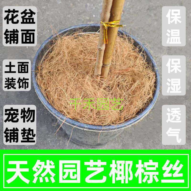 椰棕丝园艺椰壳丝宠物垫材花盆花土盆栽铺面装饰天然透气椰丝