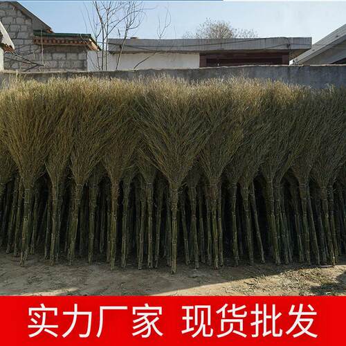 环卫大扫把竹马路扫竹子户外加大加宽扫家用院子扫帚塑料丝竹扫把