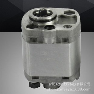 CBK齿轮泵动力单元 专用排量2.1其他更多型号请详询