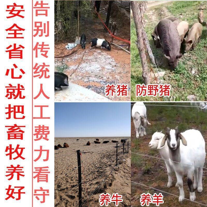 畜牧电子围栏主机牧场养殖猪牛羊电围栏畜牧带线电网全套报警系统