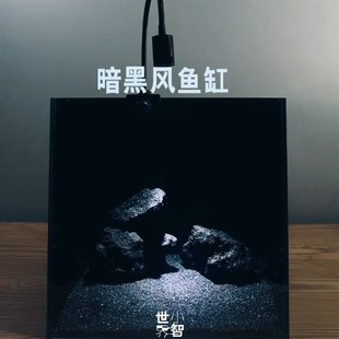 小智世界鱼缸造景全o套超白玻璃缸客厅小型桌面免换水迷你暗黑风