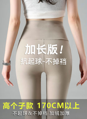 高腰提臀加长鲨鱼裤女款