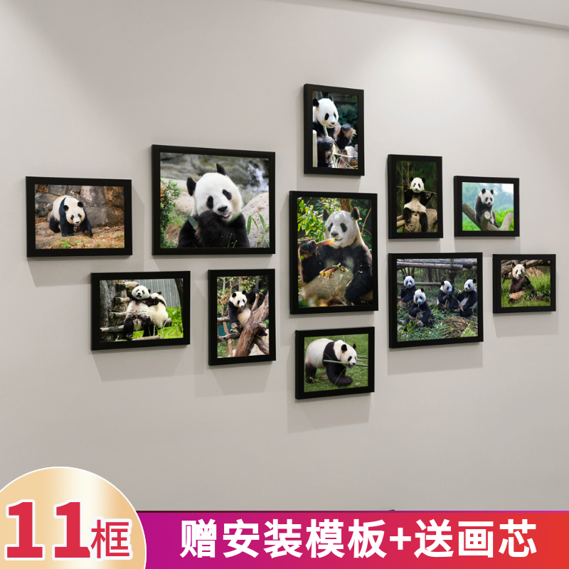 保护动物国宝大熊猫照片写真壁挂画大幅海报装饰画照片墙挂墙相框图片
