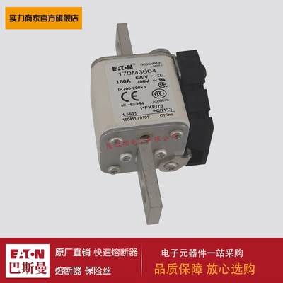 熔断器170M3694 170M3695 170M3696 170M3697 170M4688 170M4689