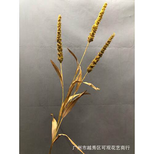 仿真3叉麦穗狗尾巴草森系植物芦苇鼠尾草带叶薰衣草风信子装饰花