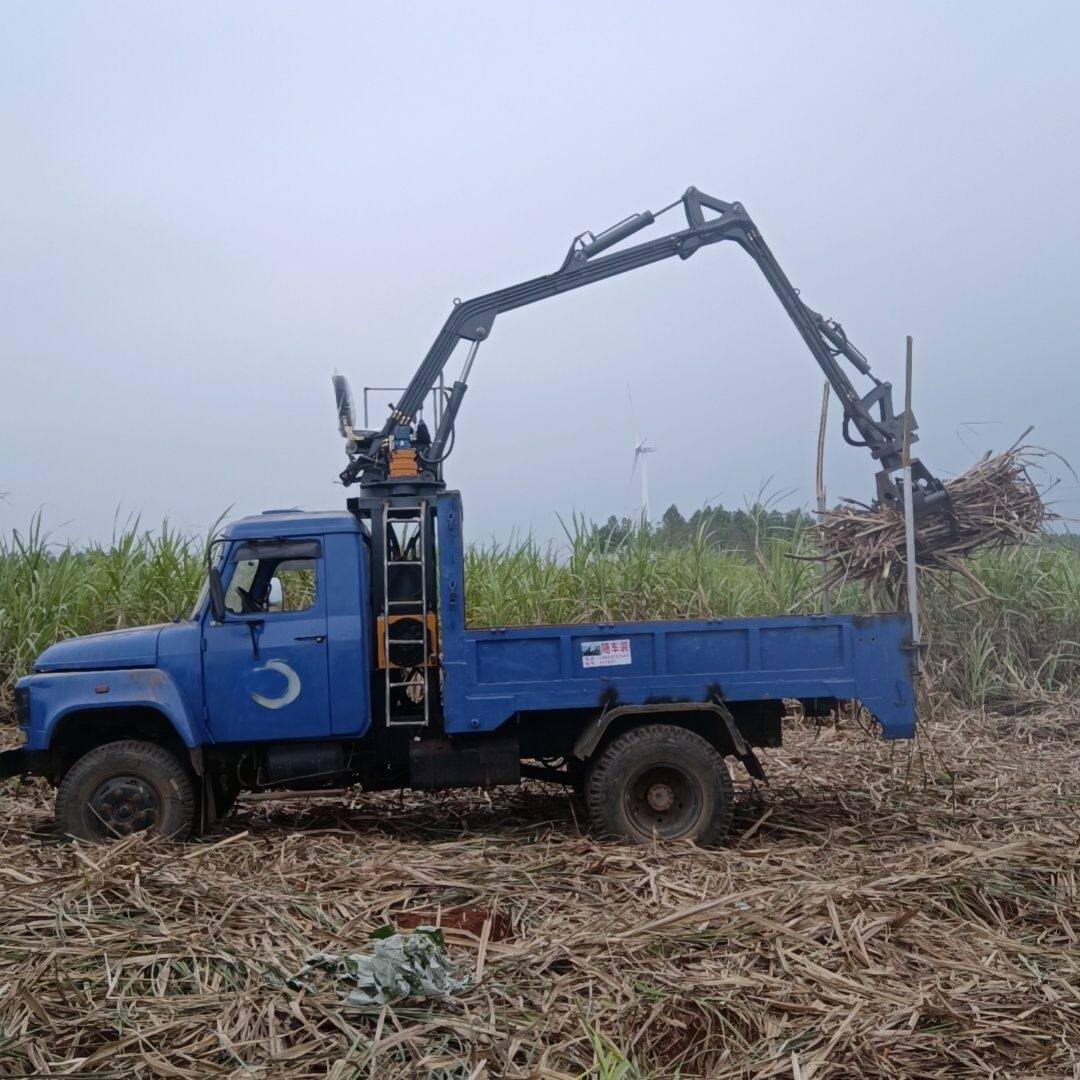 双泵操作抓甘蔗机 农用夹甘蔗机 自卸车甘蔗夹子 定制机型非全价