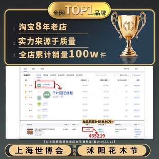 饰造景花坛围挡家用小篱笆遮挡丑 防腐木栅栏幼儿园木桩围栏室内装