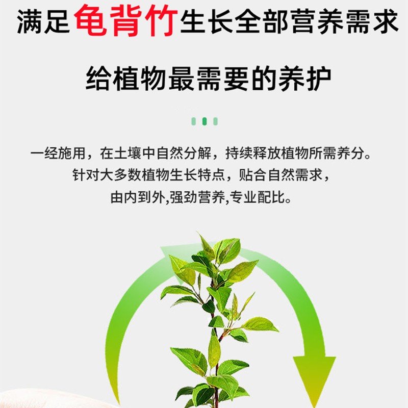 龟背竹肥料专用肥室内盆栽仙洞龟背竹肥料绿植白锦龟背竹花肥家用