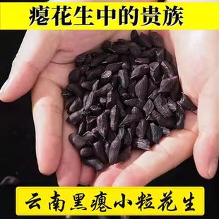 云南富硒黑花生米干瘪粒黑花生去壳黑皮瘪花生原味生零食特产