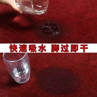 家用入户脚垫进门吸水门垫卧室入户门地垫卫生间门口防滑除尘地毯
