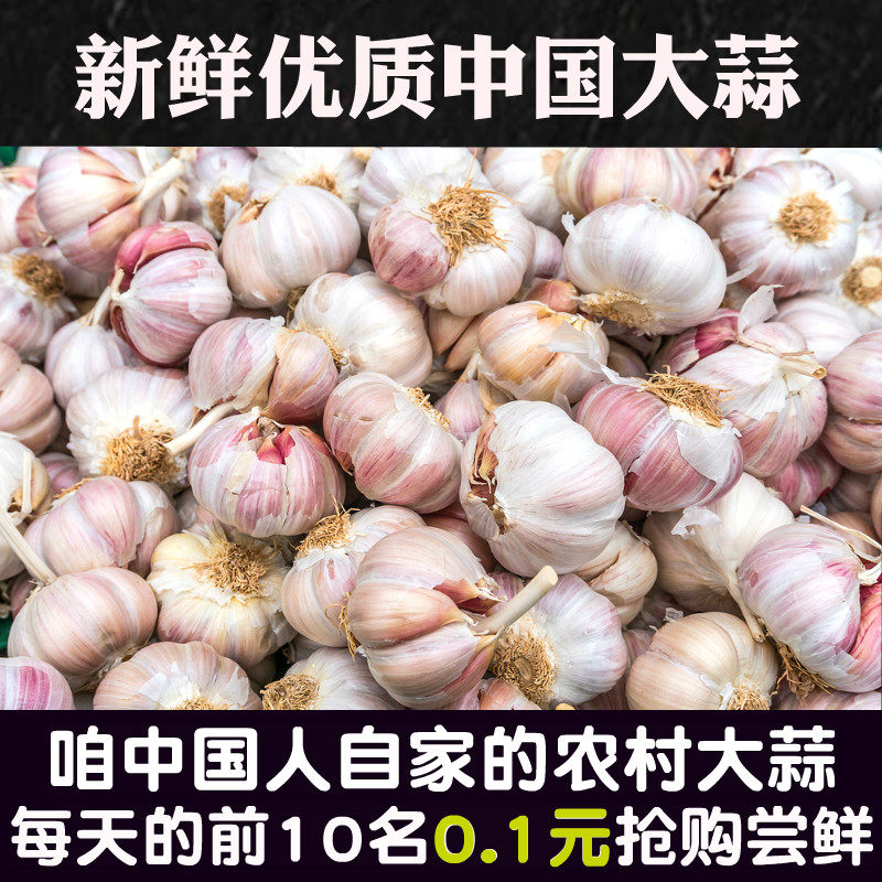 干大蒜2026年新鲜大蒜头鲜蒜包邮当季农家直供干蒜正宗河南紫皮蒜