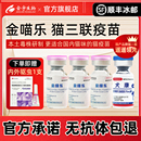 金喵乐猫三联疫苗国产猫咪妙宠物三多疫苗自打套餐 顺丰冰邮