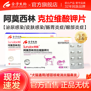 束喏宠物阿莫西林克拉维酸钾片犬猫消炎片猫咪狗狗感冒咳嗽鼻支