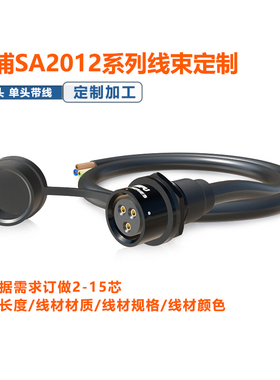 SA2012定制带线2 3 4 7 9P10芯威浦插座线束航空头螺母座公母对接