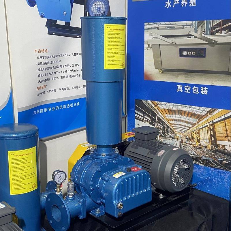 GHSR175风机罗茨风机水产养殖三叶罗茨风机污水处理罗茨风机