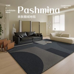 简约风轻奢高级免洗可擦加厚全铺免打理沙发地垫 地毯客厅2024新款