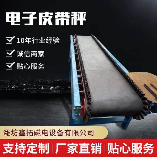 厂家供应高精度配料机恒速计量电子皮带秤选矿定量给料机皮带秤