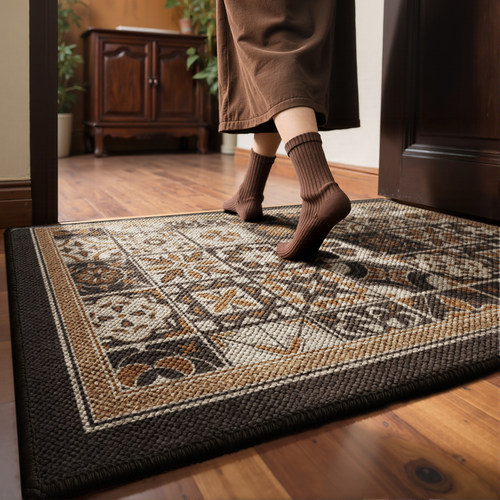 玄关入户防滑耐磨除尘可定制地垫