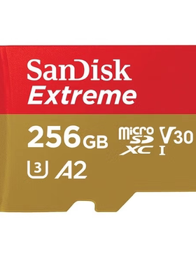 闪迪TF卡适用大疆DJIPocket3存储卡Action4/5Pro运动相机256G/128G/64G/32G高速内存卡Micro SD无人机配件