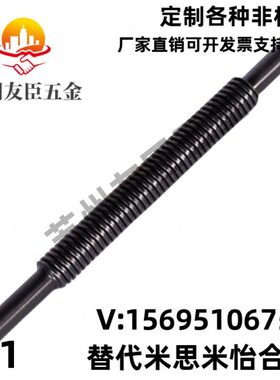梯形丝杠MTSRA MTSRB RMTSRA RMTSRB MTSBWW MTSBYW MTSWW MTSYW