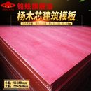 铭蚨杨木芯红板三六四八尺建筑模板工地胶合板整芯防耐水11234mm