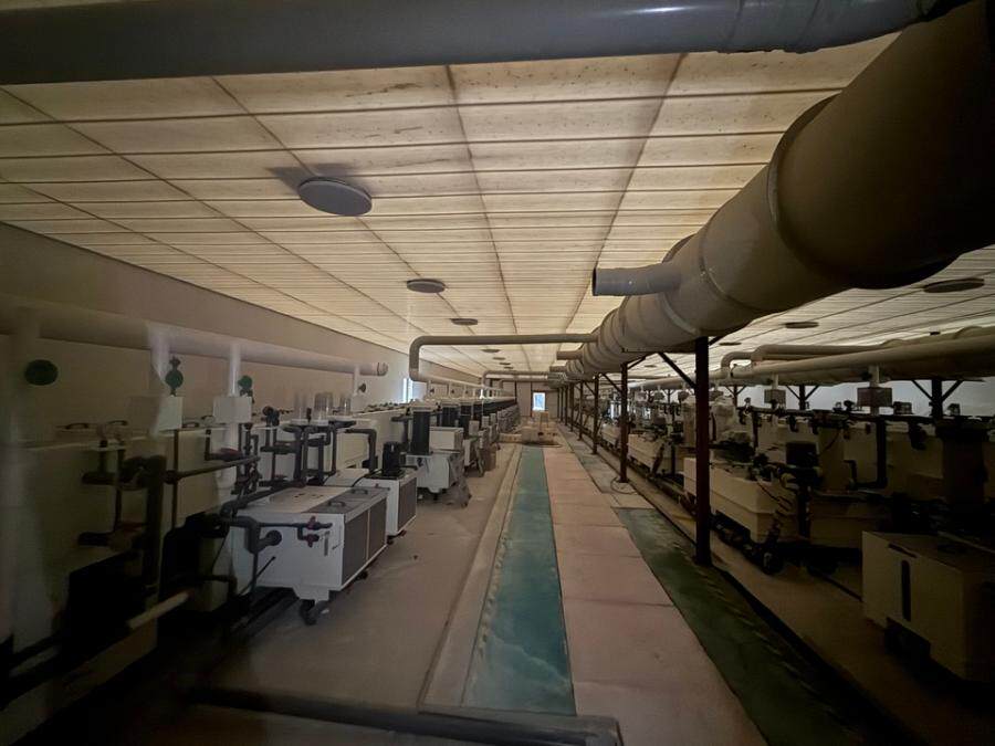 12月25日徐州某公司名下机器设备网络拍卖公告