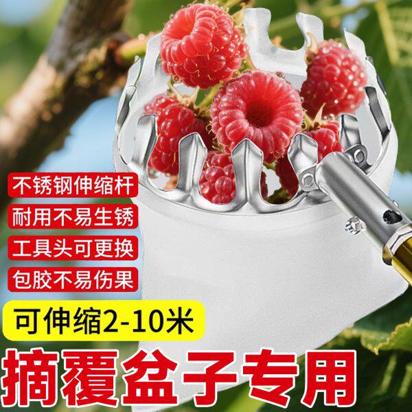 覆盆子树伸缩杆上高空枇杷摘果神器处高树便携式果子的工具采摘摘