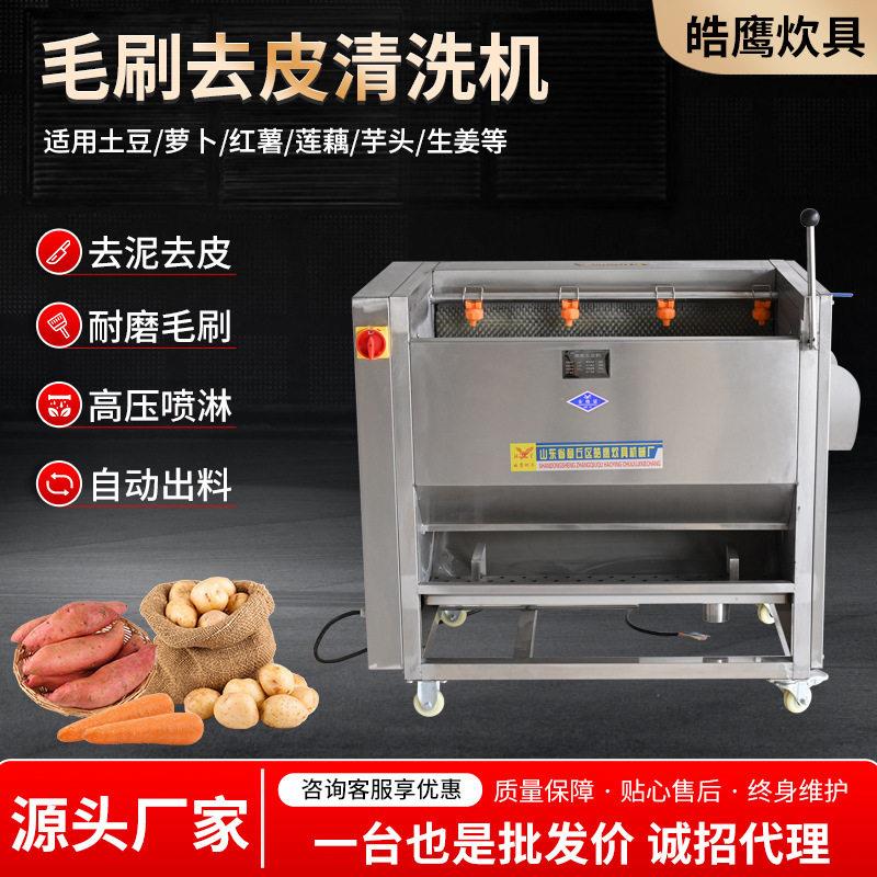 全自动果蔬毛刷清洗设备土豆莲藕红薯根茎类加工毛刷去皮清洗机