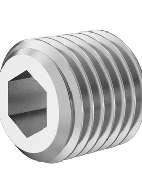 Metric Male 耐极压316不锈钢内六角外丝堵头 1M10P203